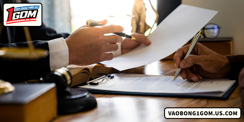 Quyền lợi và nghĩa vụ của người dùng